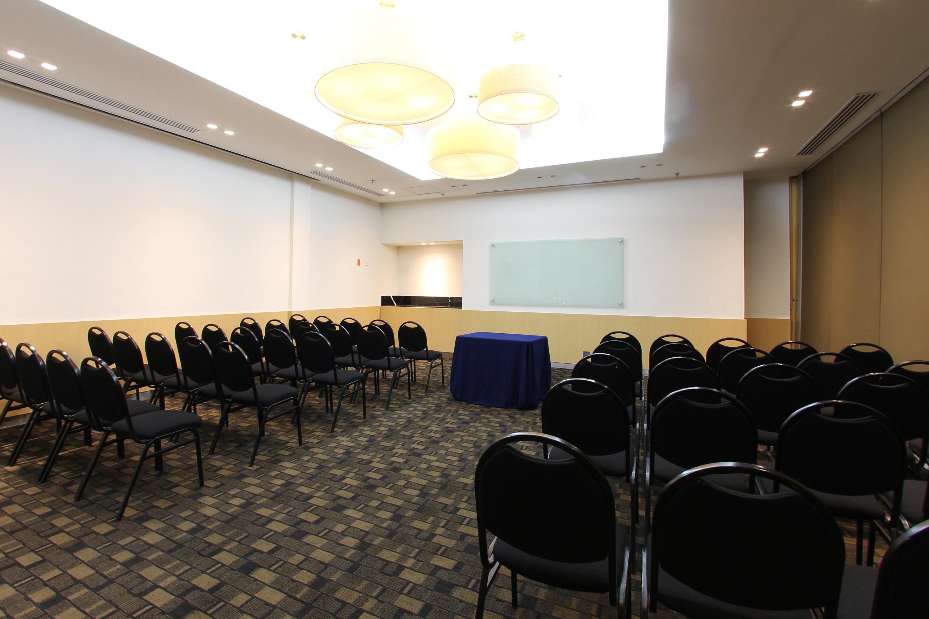 Fiesta Inn Insurgentes Viaducto Meksyk Zewnętrze zdjęcie